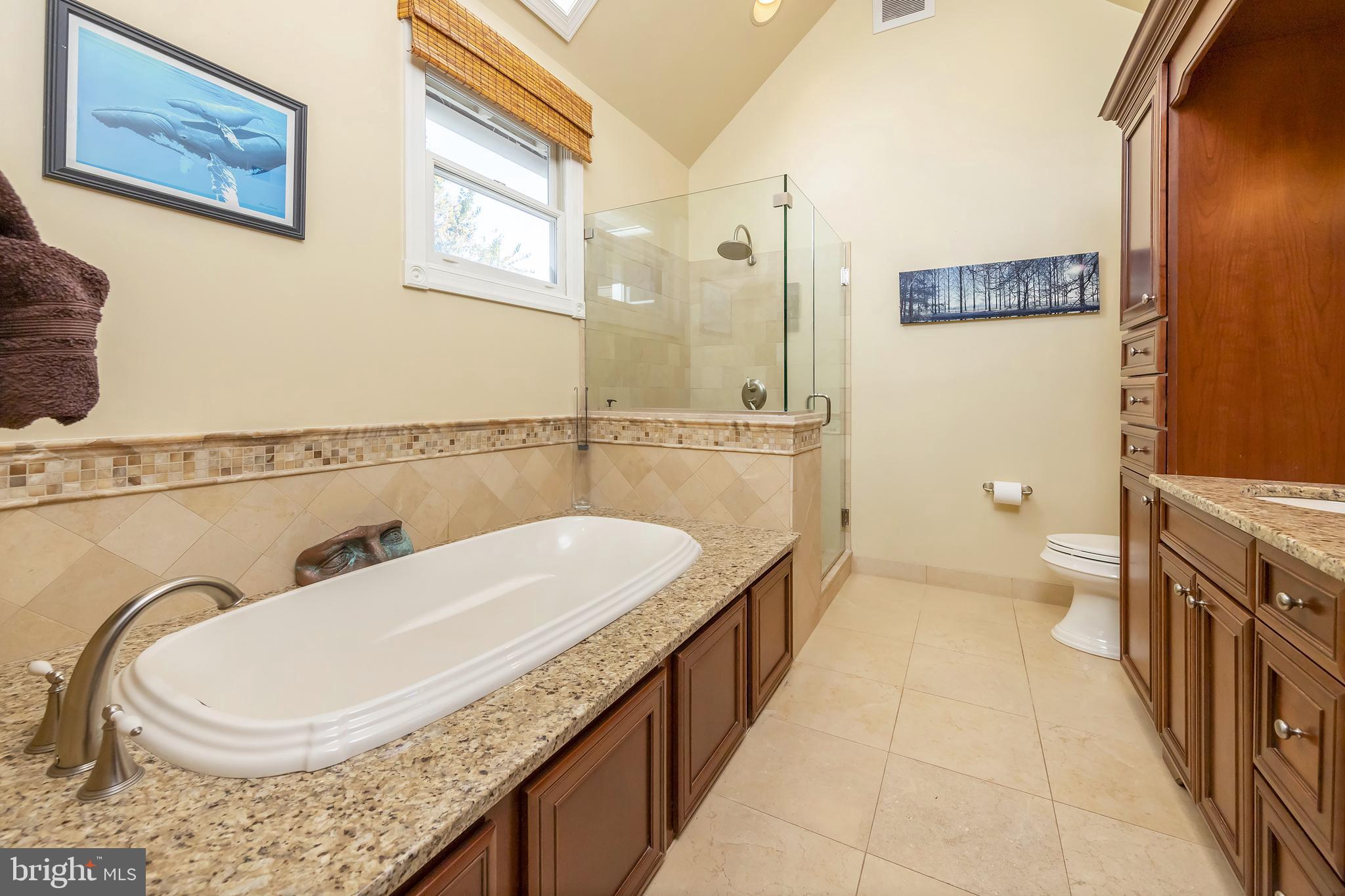 303 Warwick Road Haddonfield, NJ 08033 - Photo 32 of 48 Master bath