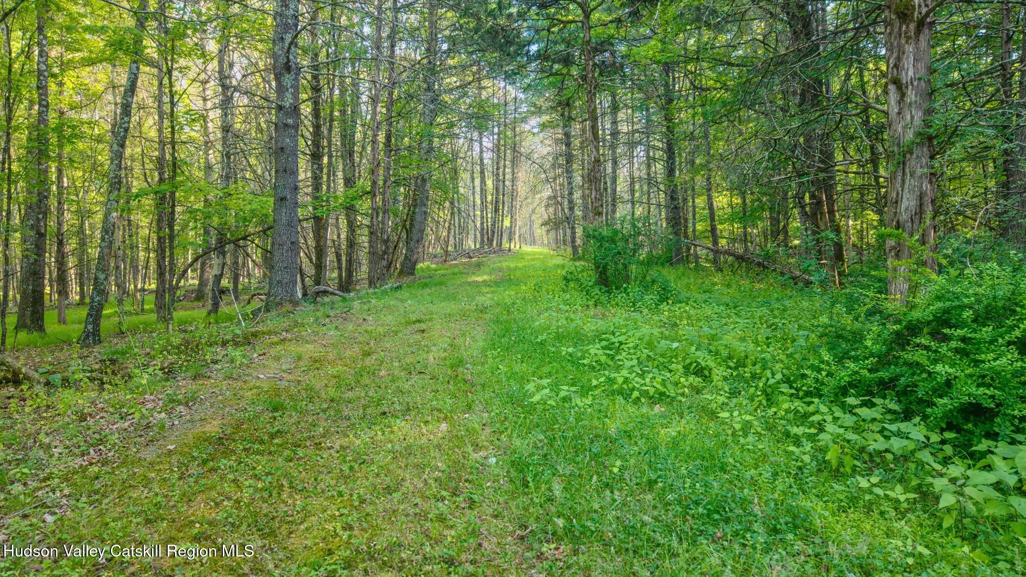 4533 Atwood Road Stone Ridge, NY 12484 - Photo 57 of 63 Image-44