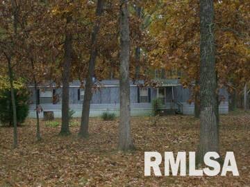 1028 Highway 37 Kell, IL 62853 - Photo 1 of 1