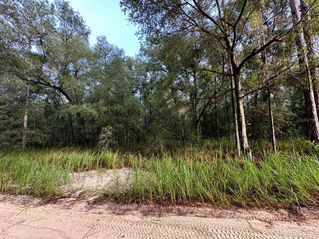 Southwest 40th Street Ocala, FL 34481 - Photo 2 of 6