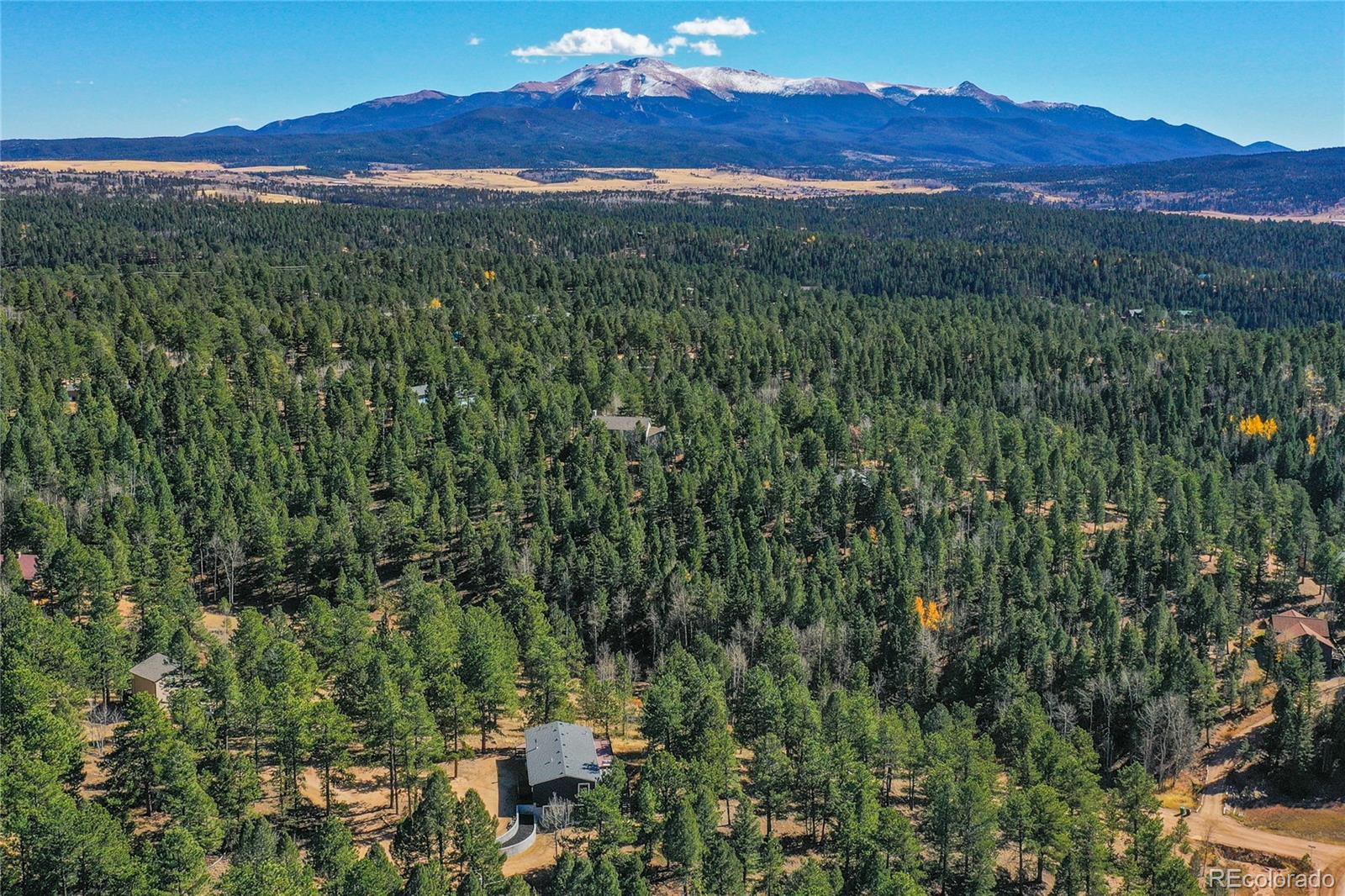 944 County Road 512 Divide, CO 80814 - Photo 12 of 49 a view of a lush green forest with a mountain in the background