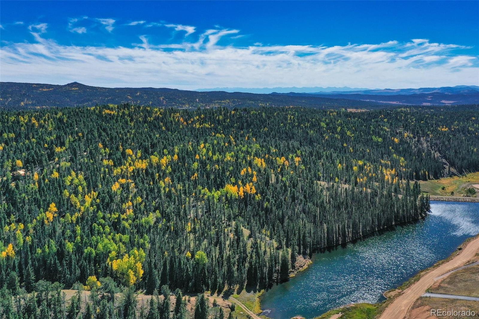 944 County Road 512 Divide, CO 80814 - Photo 6 of 49 a view of a city with lush green forest