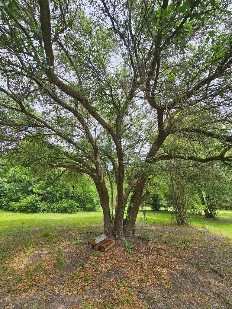 14196 Raccoon Road Manning, SC 29102 - Photo 11 of 39 Gallery Image 11