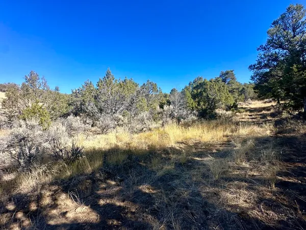 a view of lake with green space