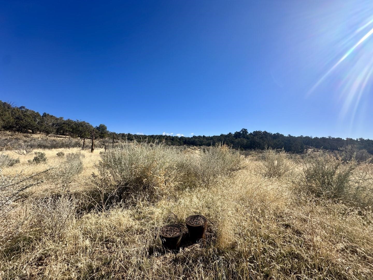 Tbd Cactus Park Road Cedaredge, CO 81413 - Photo 12 of 18 a view of lake and mountain