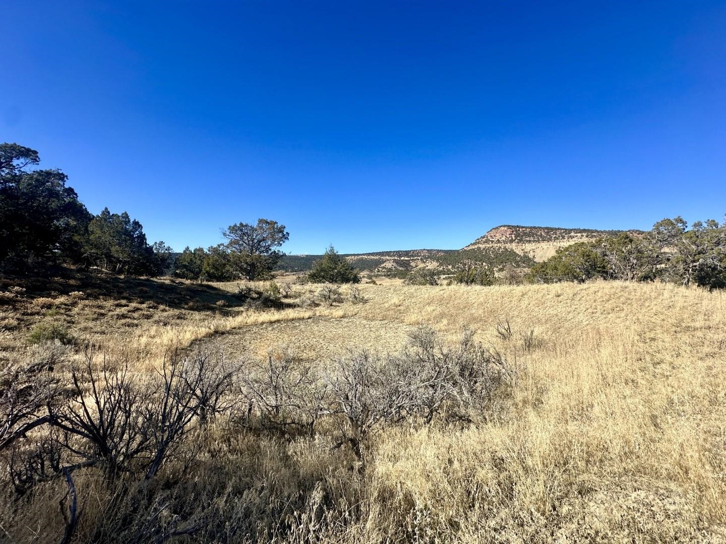 Tbd Cactus Park Road Cedaredge, CO 81413 - Photo 13 of 18 a view of lake view and mountain