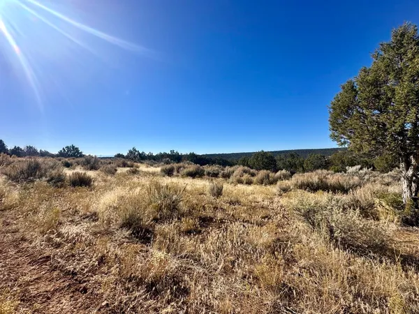 a view of a building in the background