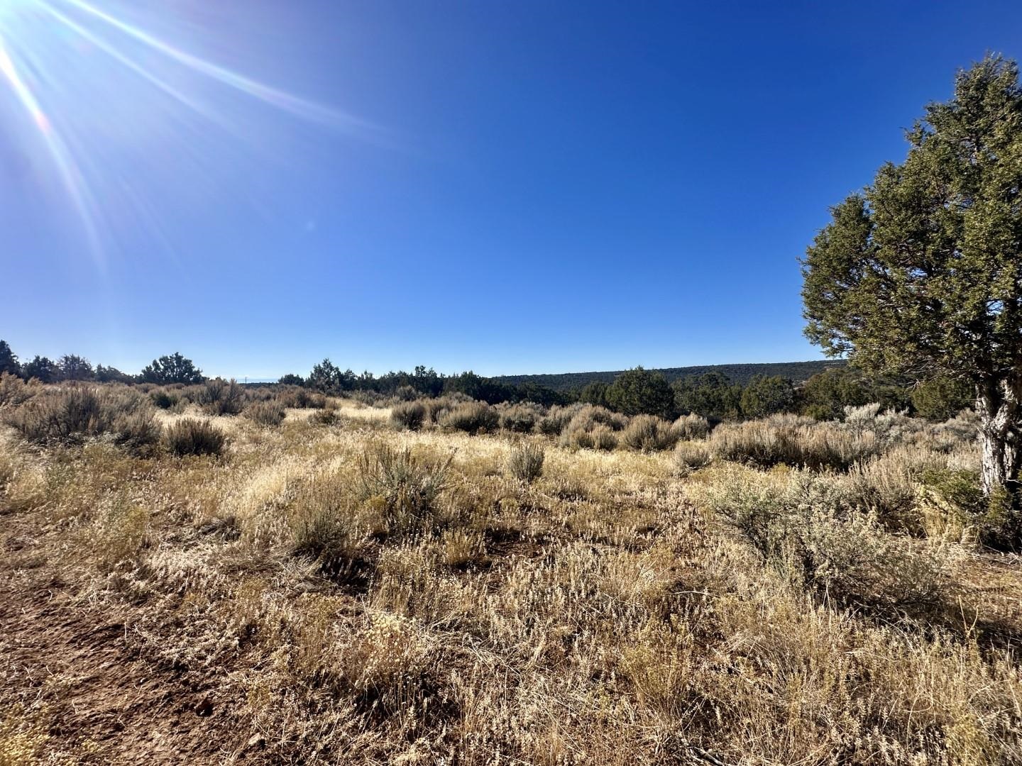 Tbd Cactus Park Road Cedaredge, CO 81413 - Photo 14 of 18 a view of a building in the background