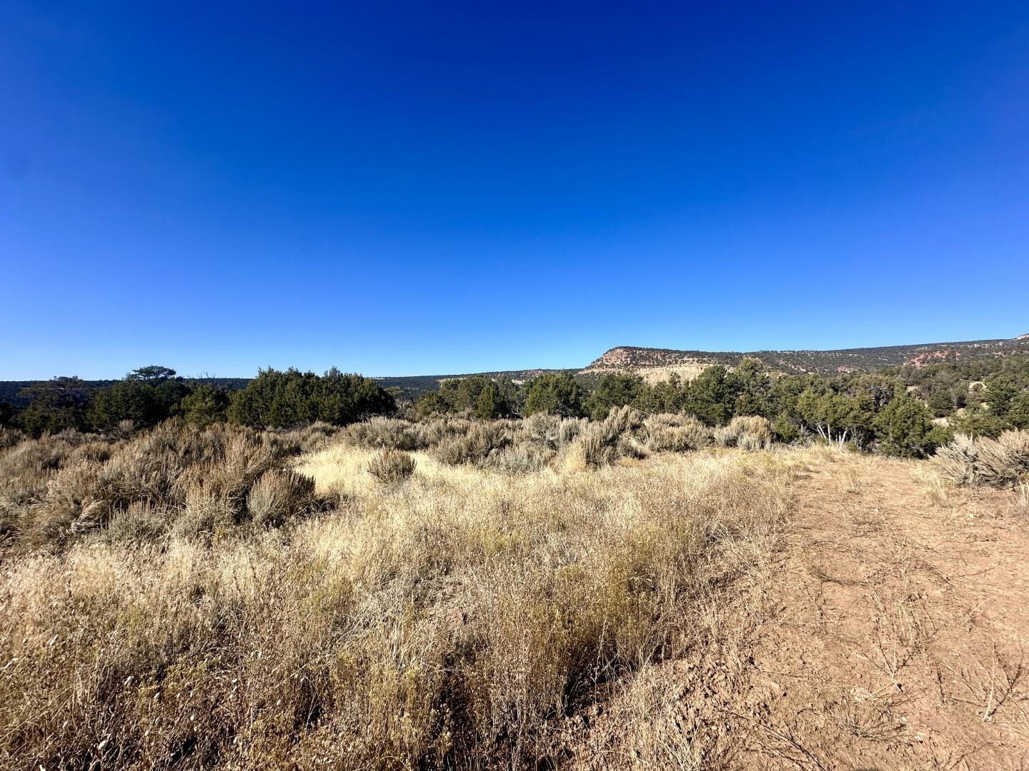 Tbd Cactus Park Road Cedaredge, CO 81413 - Photo 2 of 18 a view of mountain view and mountain