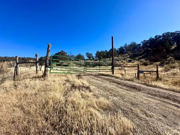 a view of an outdoor space and yard
