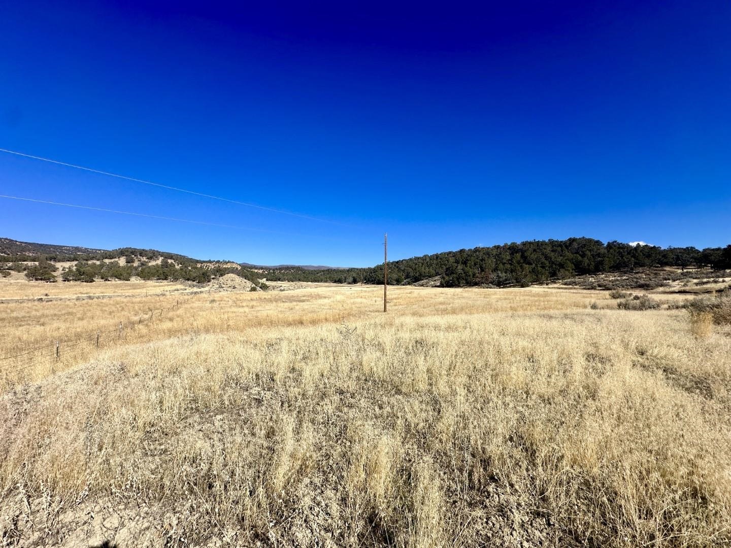 Tbd Cactus Park Road Cedaredge, CO 81413 - Photo 4 of 18 a view of an ocean