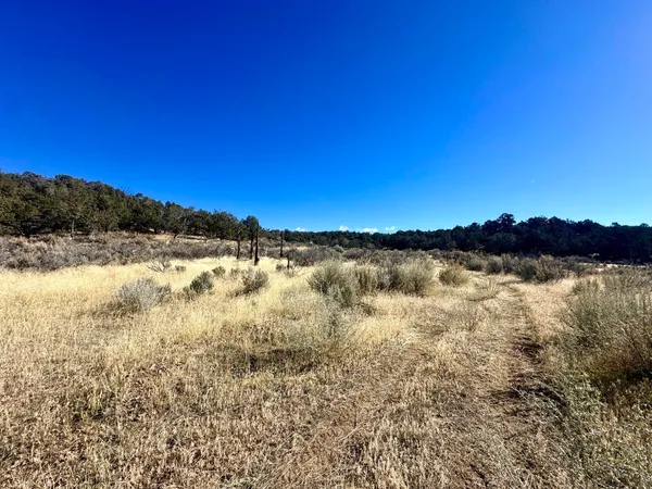 a view of lake and mountain