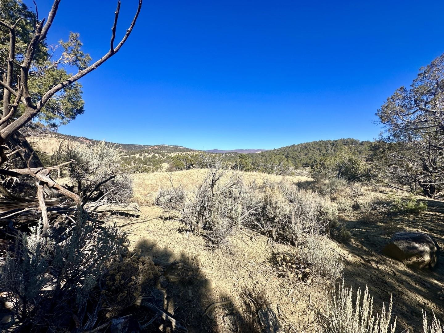 Tbd Cactus Park Road Cedaredge, CO 81413 - Photo 6 of 18 a view of mountain view with sky view