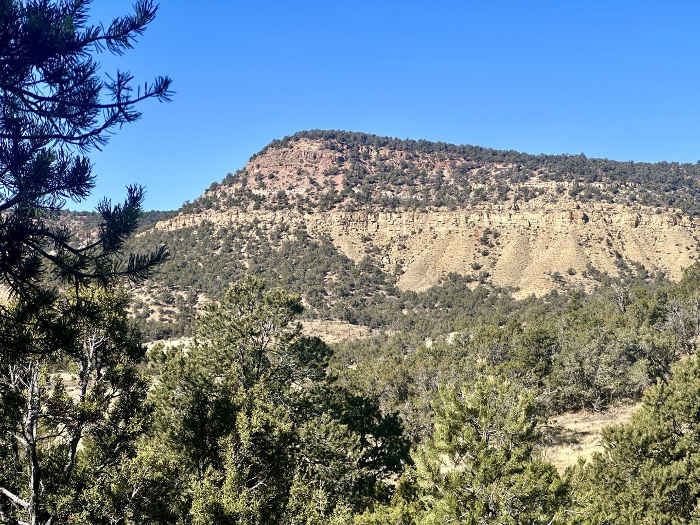 Tbd Cactus Park Road Cedaredge, CO 81413 - Photo 8 of 18 a view of a sky
