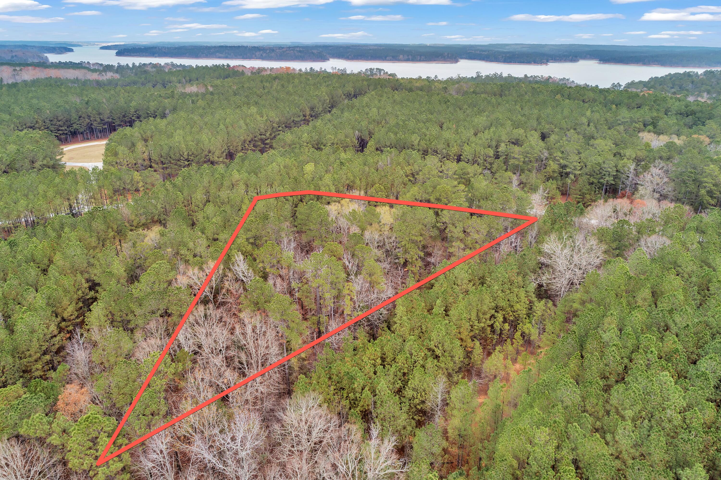 1252 Rogers Road Tignall, GA 30668 - Photo 14 of 29 1252 Rogers Rd, 200ft View, Drone-5-Lot