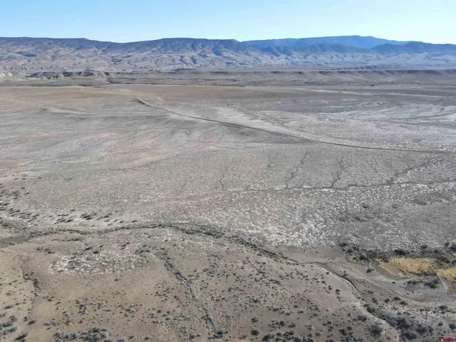 a view of a dry yard with mountain view