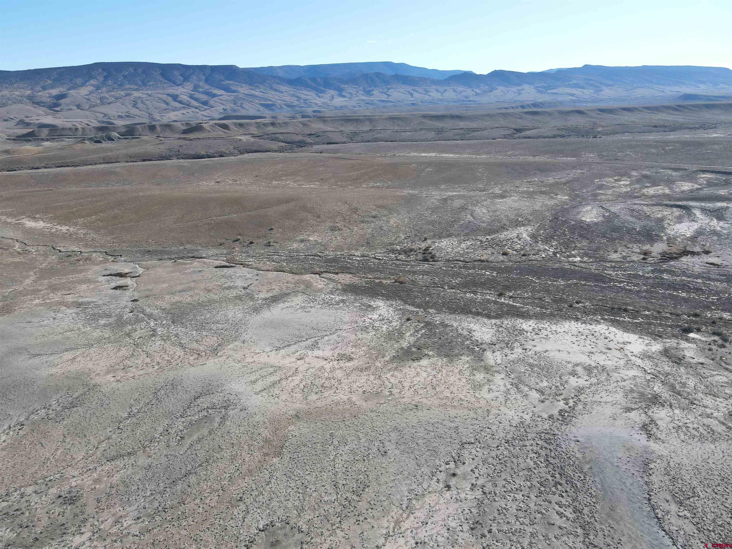 Tbd Tbd Olathe, CO 81425 - Photo 11 of 13 a view of a dry yard with trees