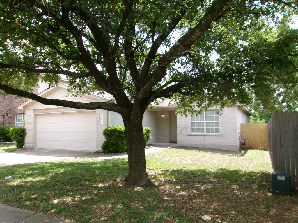 17607 Wiseman Drive Pflugerville, TX 78660 - Photo 1 of 1 a tree in front of a white house