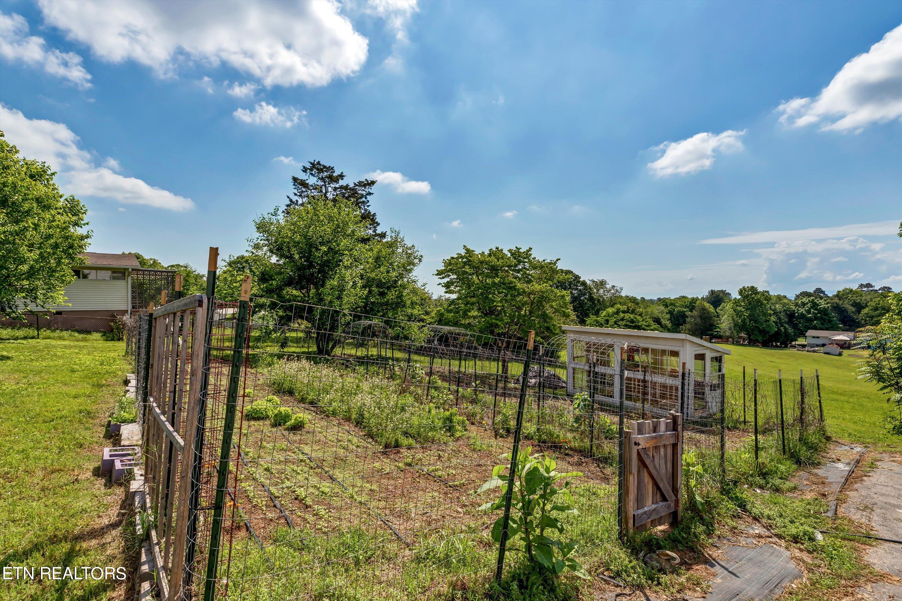 3610 Buffat Mill Road Knoxville, TN 37914 - Photo 24 of 31 Garden Bed