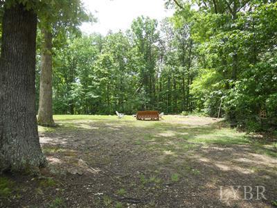 337 Phoebe Pond Road Concord, VA 24538 - Photo 3 of 19 a view of outdoor space and yard