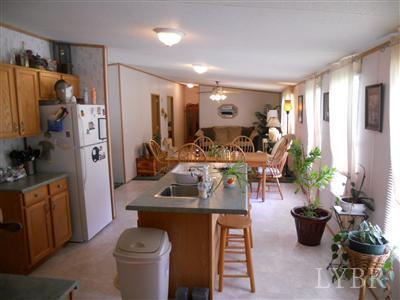 337 Phoebe Pond Road Concord, VA 24538 - Photo 8 of 19 a room with lots of furniture and potted plants