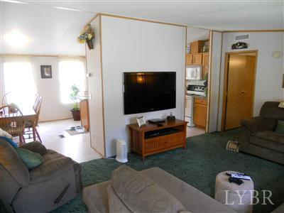 337 Phoebe Pond Road Concord, VA 24538 - Photo 10 of 19 a living room with furniture and a flat screen tv