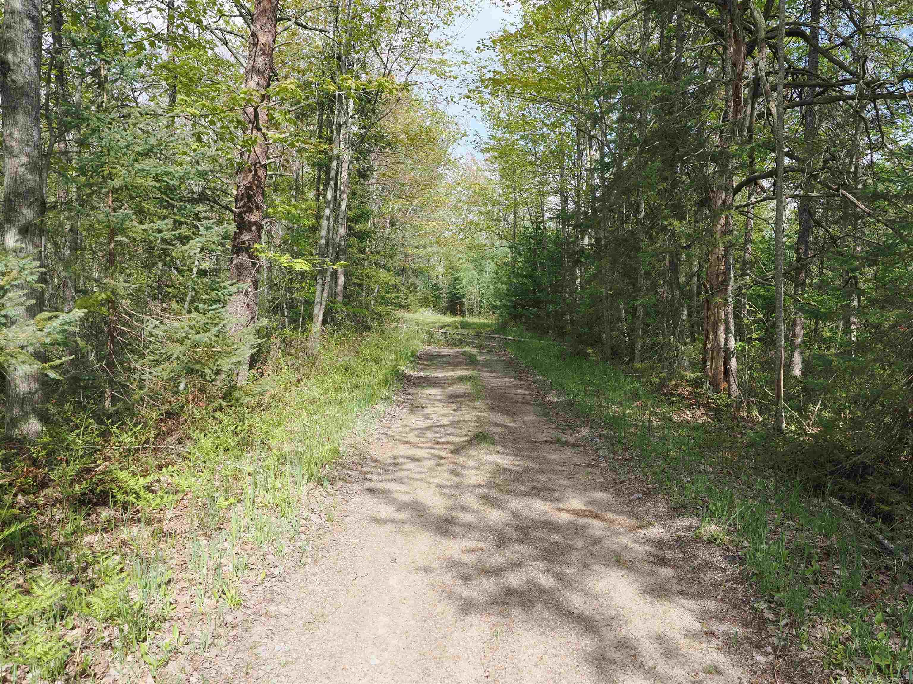 4011 Sandall Road Alpena, MI 49707 - Photo 33 of 73