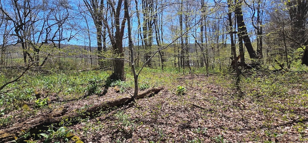1720 County Route 12 De Ruyter, NY 13052 - Photo 36 of 49