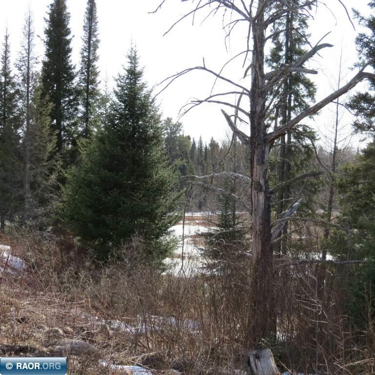 Xxx Xxx Twin Lakes Road Babbitt, MN 55706 - Photo 11 of 18