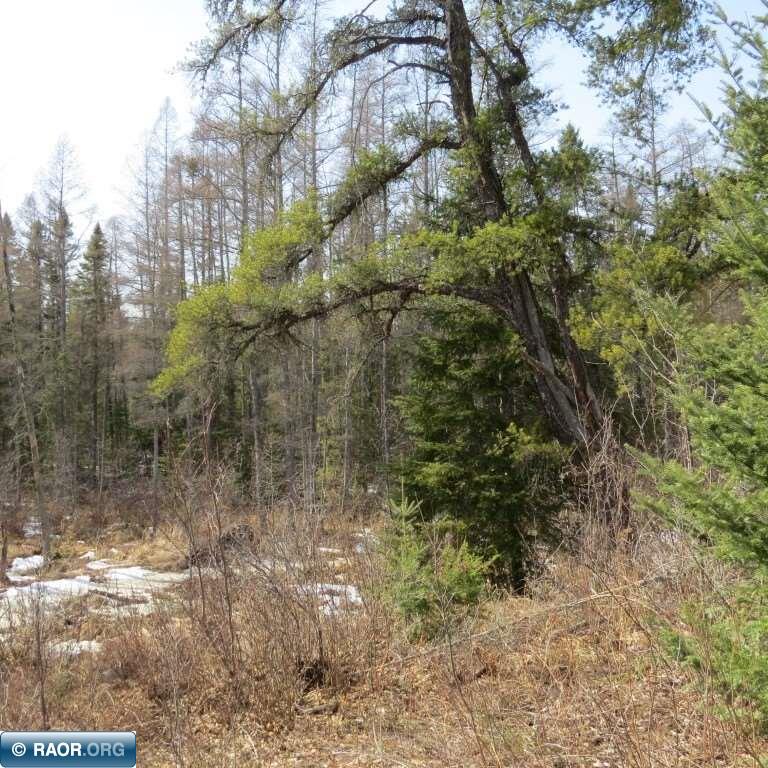 Xxx Xxx Twin Lakes Road Babbitt, MN 55706 - Photo 13 of 18