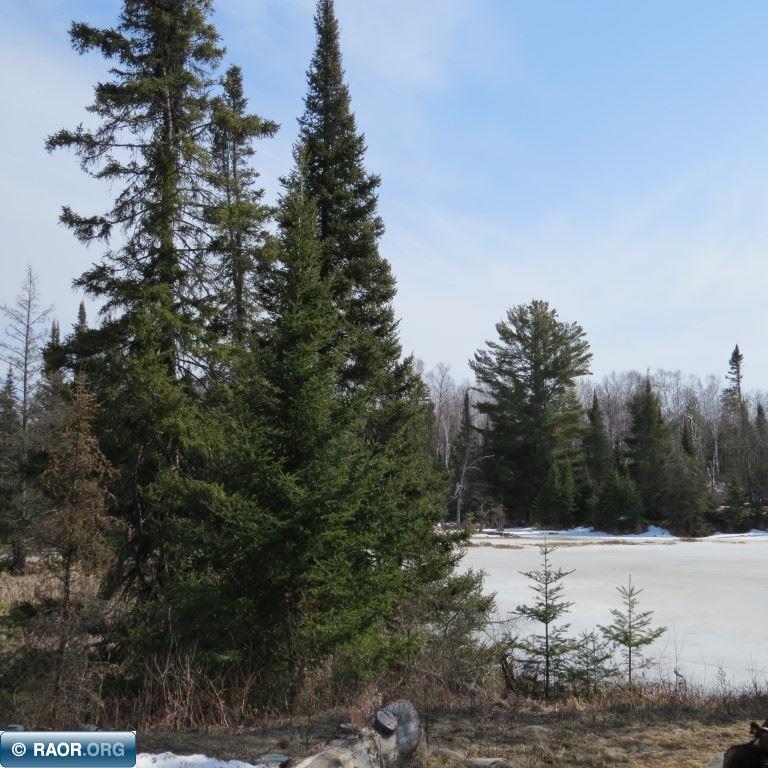 Xxx Xxx Twin Lakes Road Babbitt, MN 55706 - Photo 14 of 18