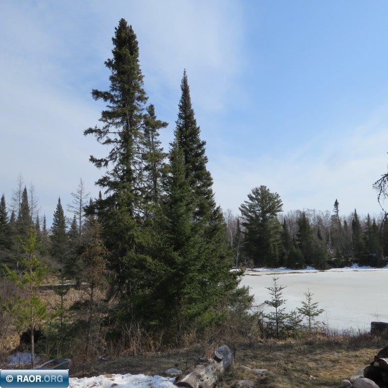 Xxx Xxx Twin Lakes Road Babbitt, MN 55706 - Photo 15 of 18