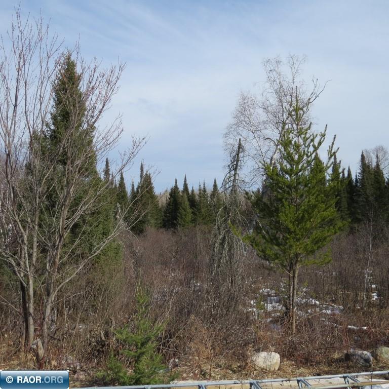 Xxx Xxx Twin Lakes Road Babbitt, MN 55706 - Photo 16 of 18