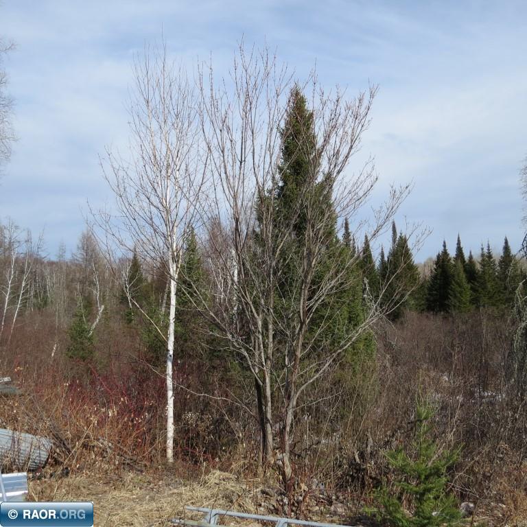 Xxx Xxx Twin Lakes Road Babbitt, MN 55706 - Photo 17 of 18