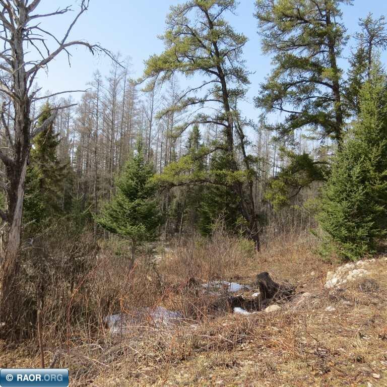 Xxx Xxx Twin Lakes Road Babbitt, MN 55706 - Photo 3 of 18