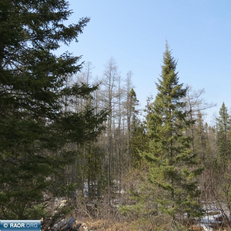 Xxx Xxx Twin Lakes Road Babbitt, MN 55706 - Photo 6 of 18