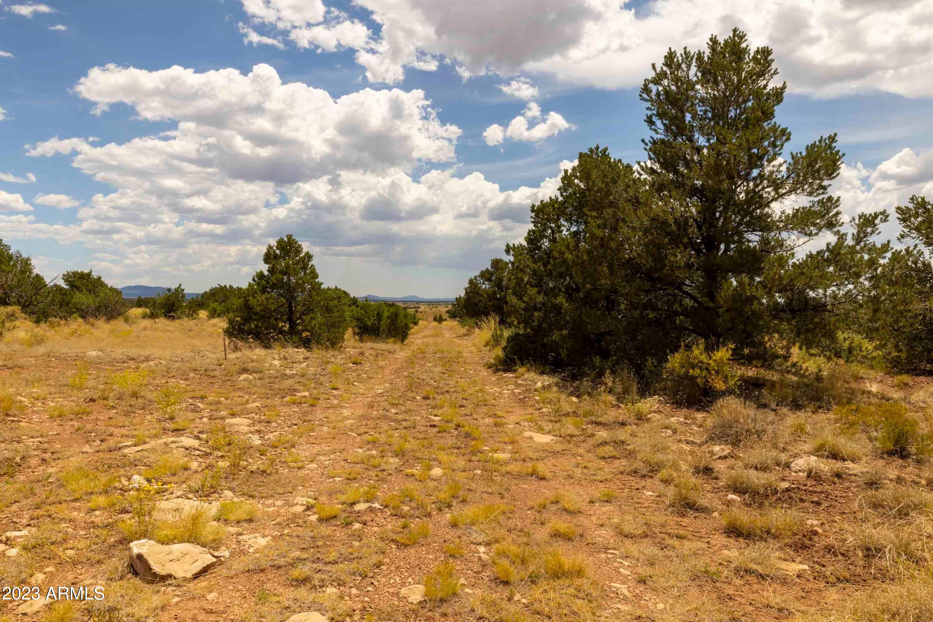 3054 Silver Valley Road, Unit 415 Williams, AZ 86046 - Photo 14 of 21 3054 E Silver Valley Rd Photo 1