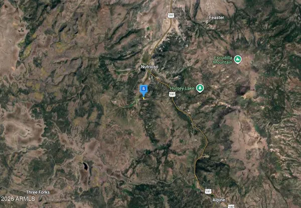 a view of a dry yard