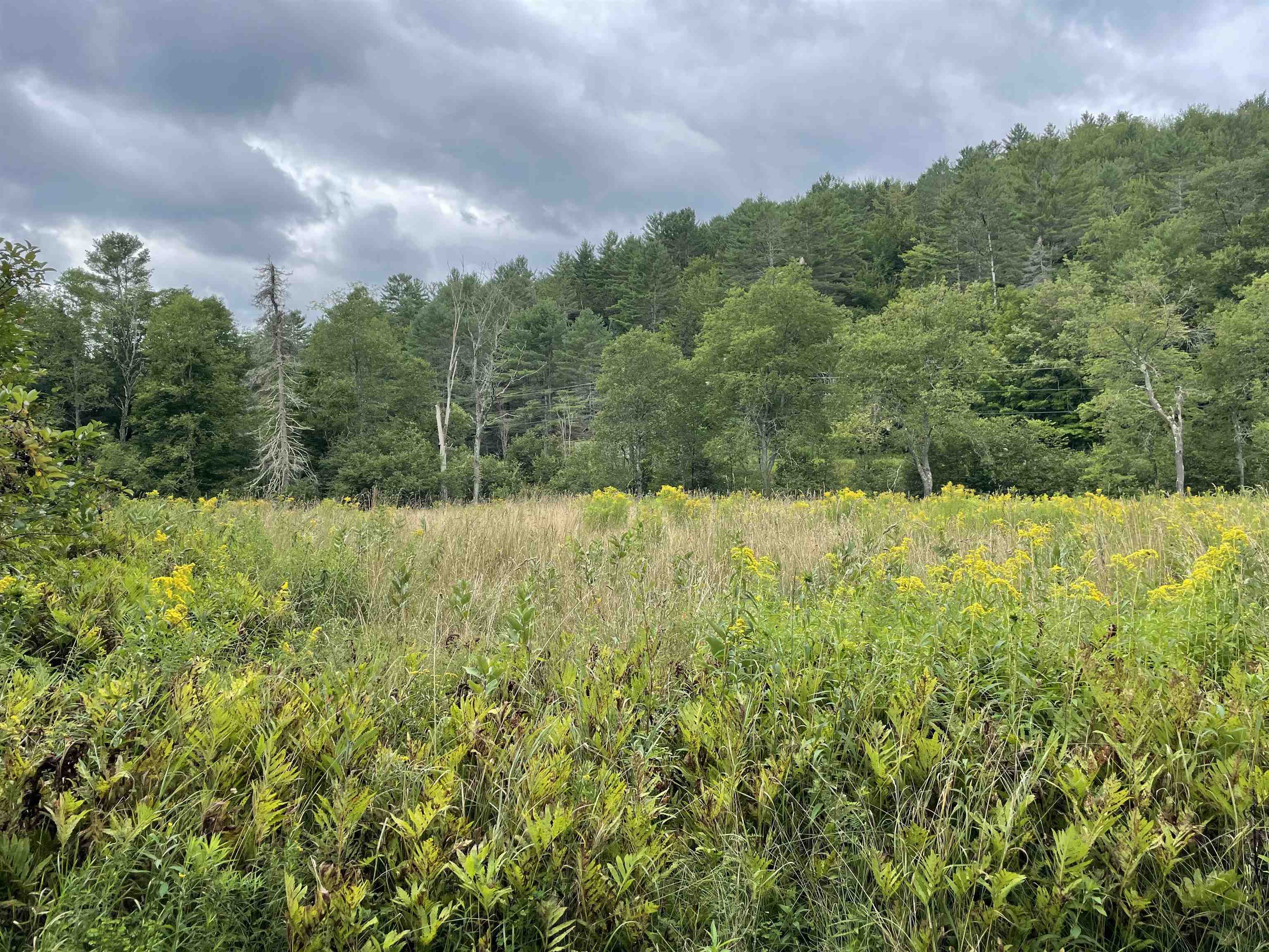 3013 North Wolcott Road Wolcott, VT 05680 - Photo 1 of 8