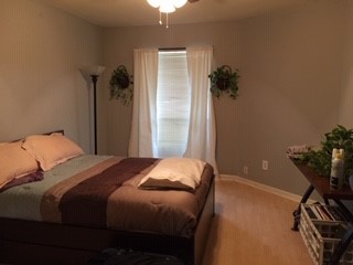 8787 Brae Acres Road, Unit 403 Houston, TX 77074 - Photo 7 of 7 a bedroom with a bed and a potted plant on a dresser