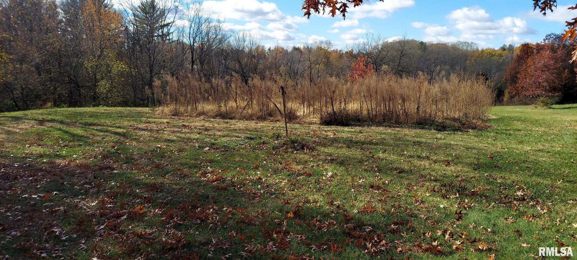862 270th Street Viola, IL 61486 - Photo 5 of 17 a view of outdoor space with green field and trees