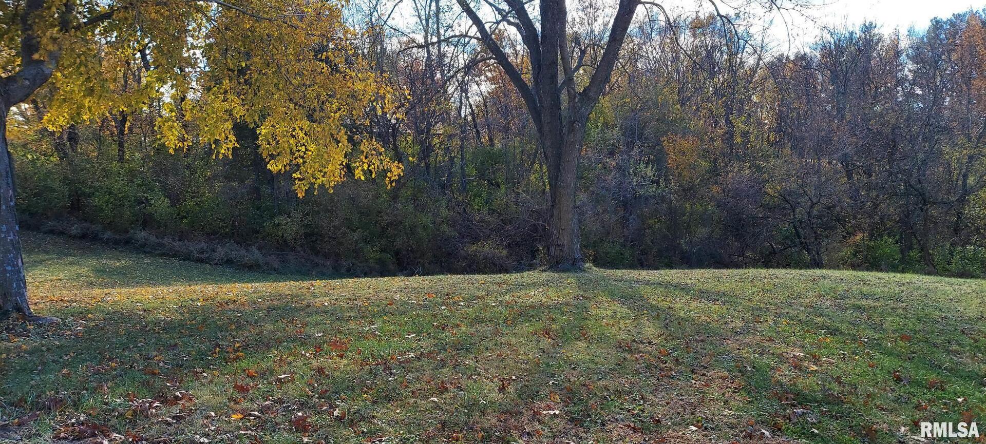 862 270th Street Viola, IL 61486 - Photo 6 of 17 a view of a yard with a tree