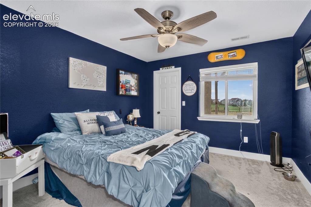 11662 Rio Secco Road Peyton, CO 80831 - Photo 22 of 29 Bedroom 4 - lower level