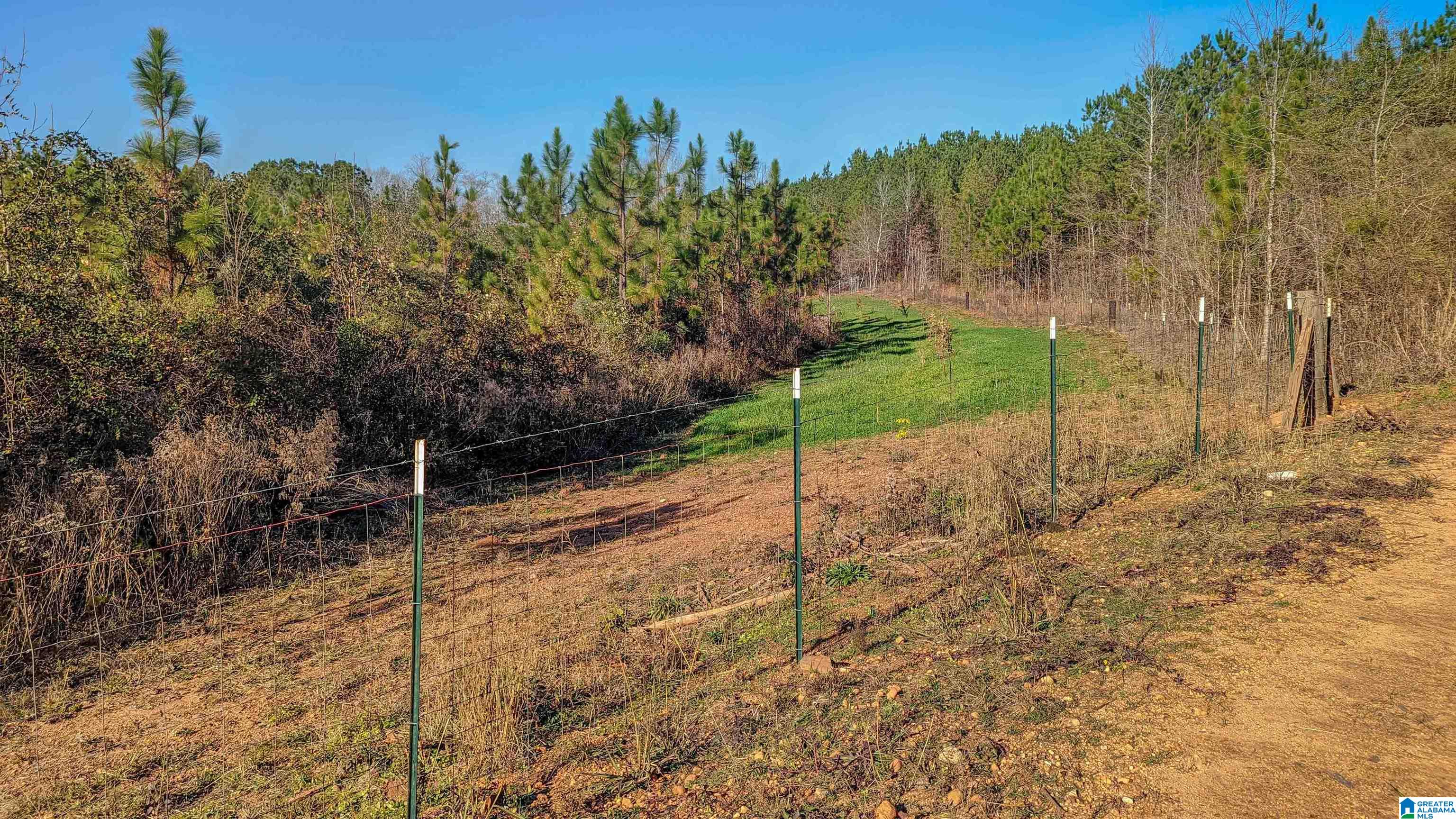 1341 County Road 528, Unit 36 Verbena, AL 36091 - Photo 16 of 19