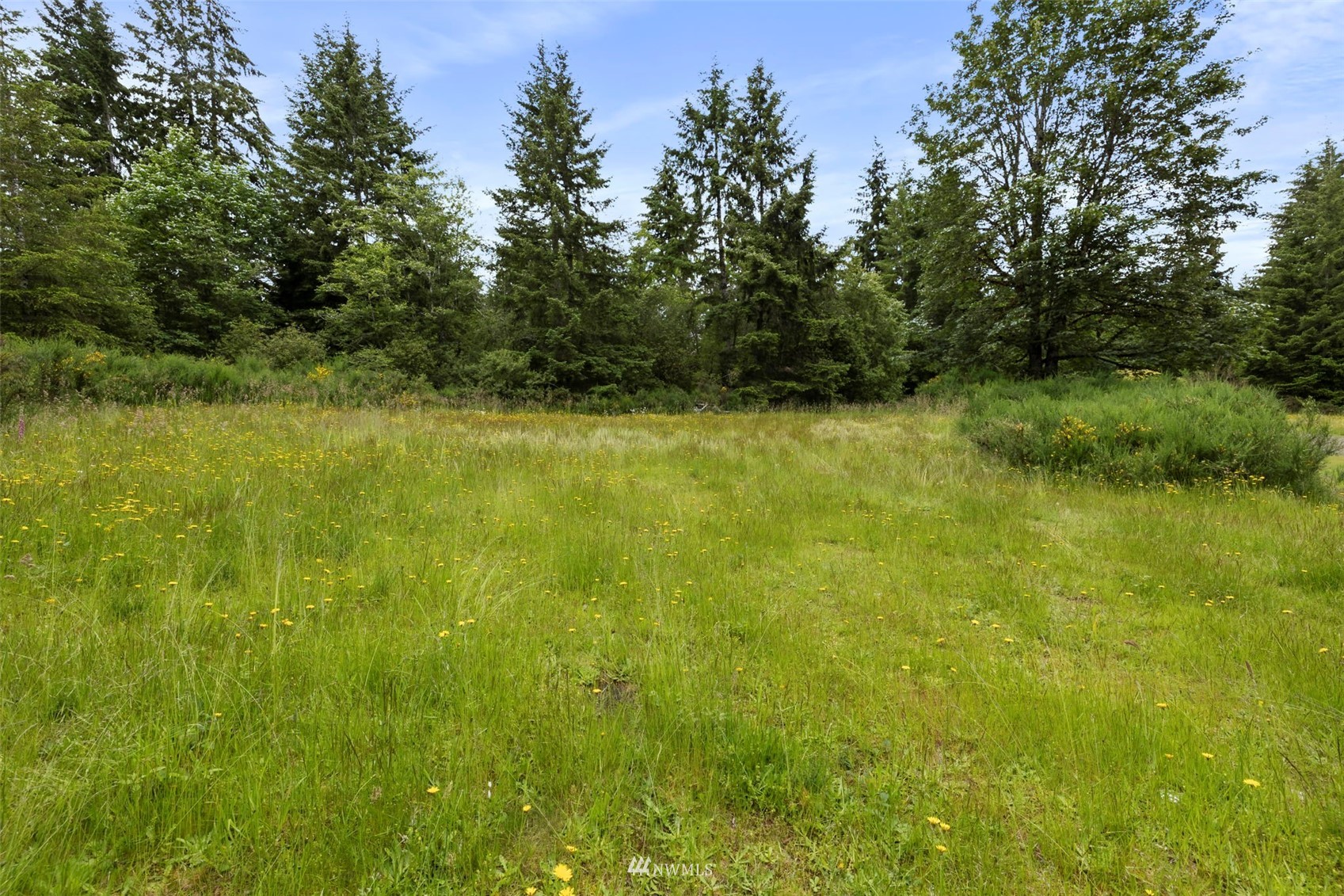 1951 East Rasor Road Belfair, WA 98528 - Photo 36 of 36 Gallery Image 36