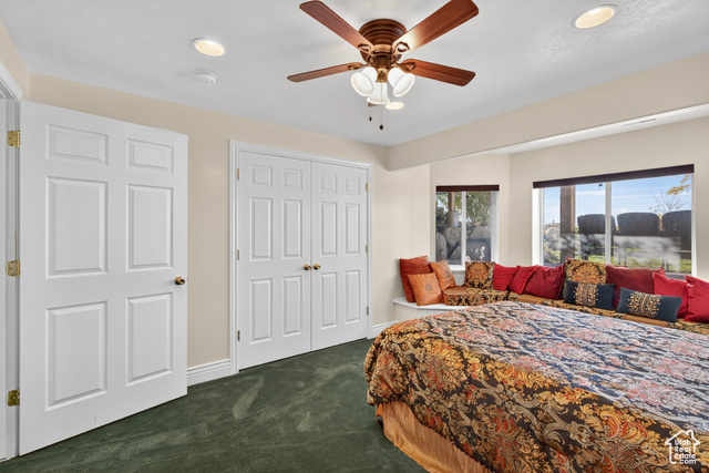 4768 East Hickman Canyon Road Stockton, UT 84071 - Photo 46 of 85 Basement bedroom with dark carpet, recessed lighting, a closet, and a ceiling fan.