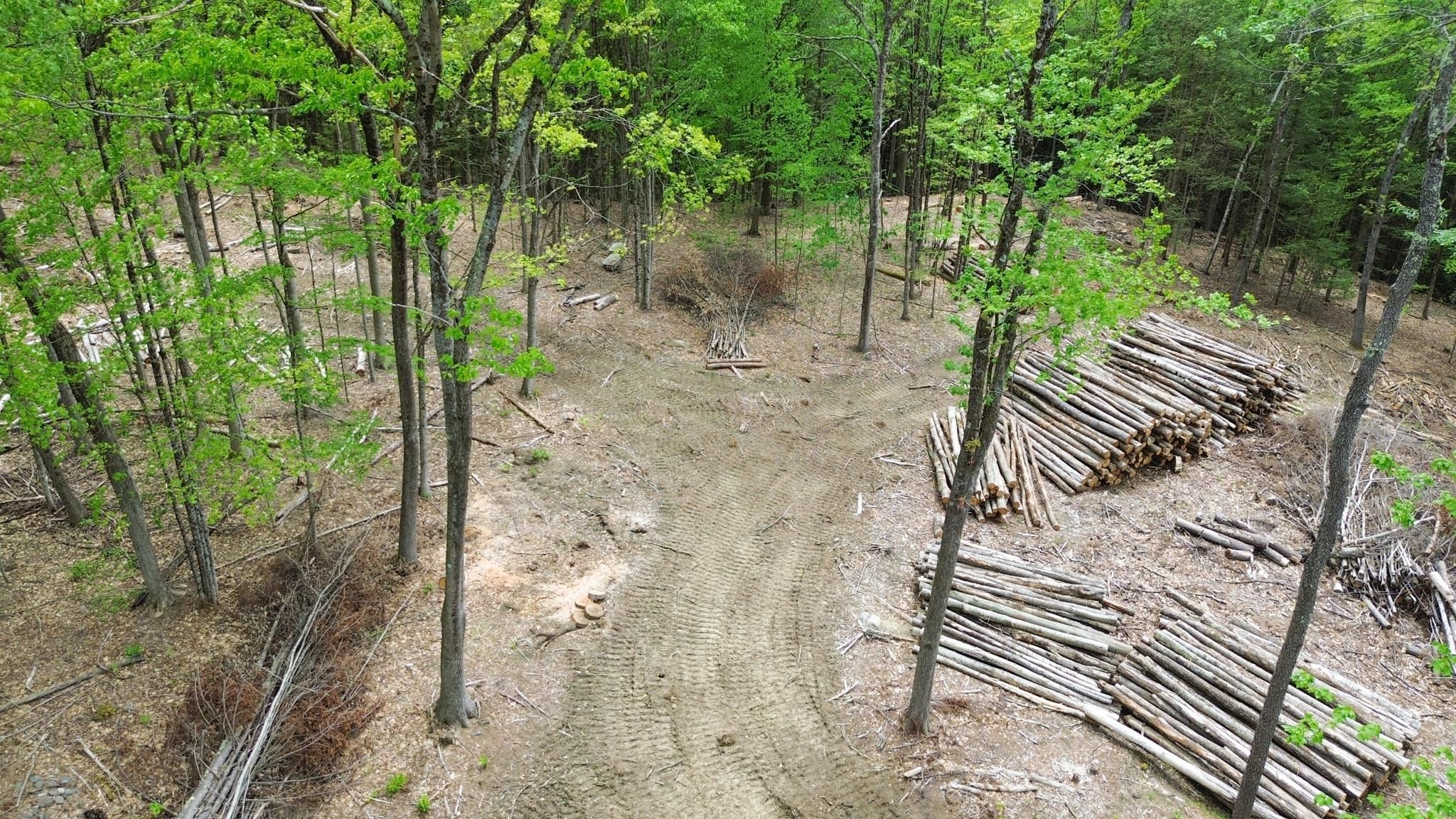Lot 26-4 Plain Road Hinsdale, NH 03451 - Photo 6 of 28