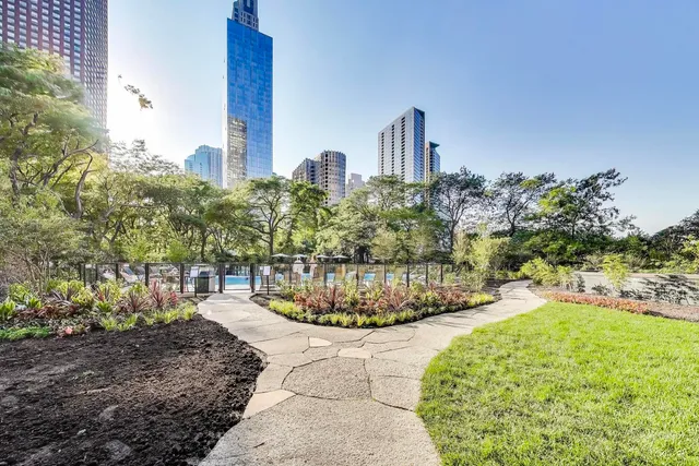 a view of a yard with large trees