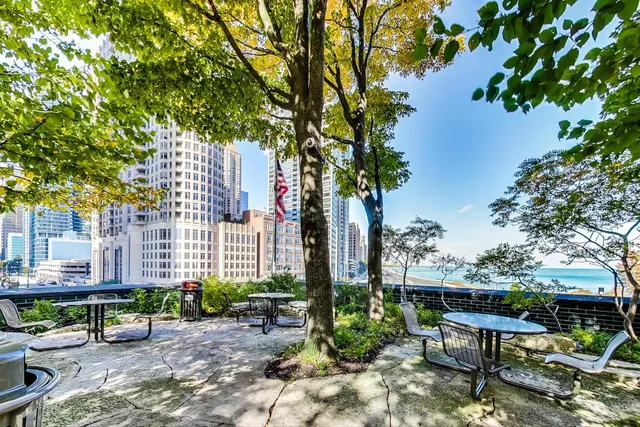 $630,000 | 505 North Lake Shore Drive, Unit 2805, Chicago, IL 60611