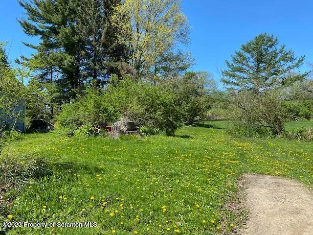 a view of a lush green space